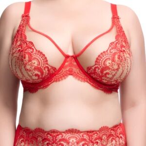 Dita Von Teese NWT Nom De Plume 44F curve plunge bra
